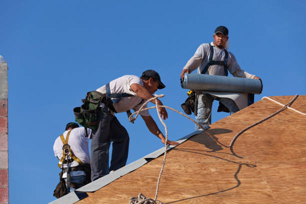 Best New Roof Installation  in Faison, NC